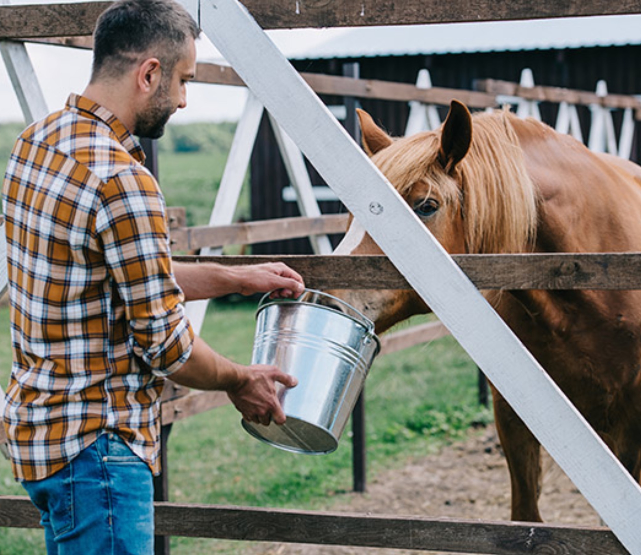 Se busca trabajador(hombre) para trabajar en un rancho privado.