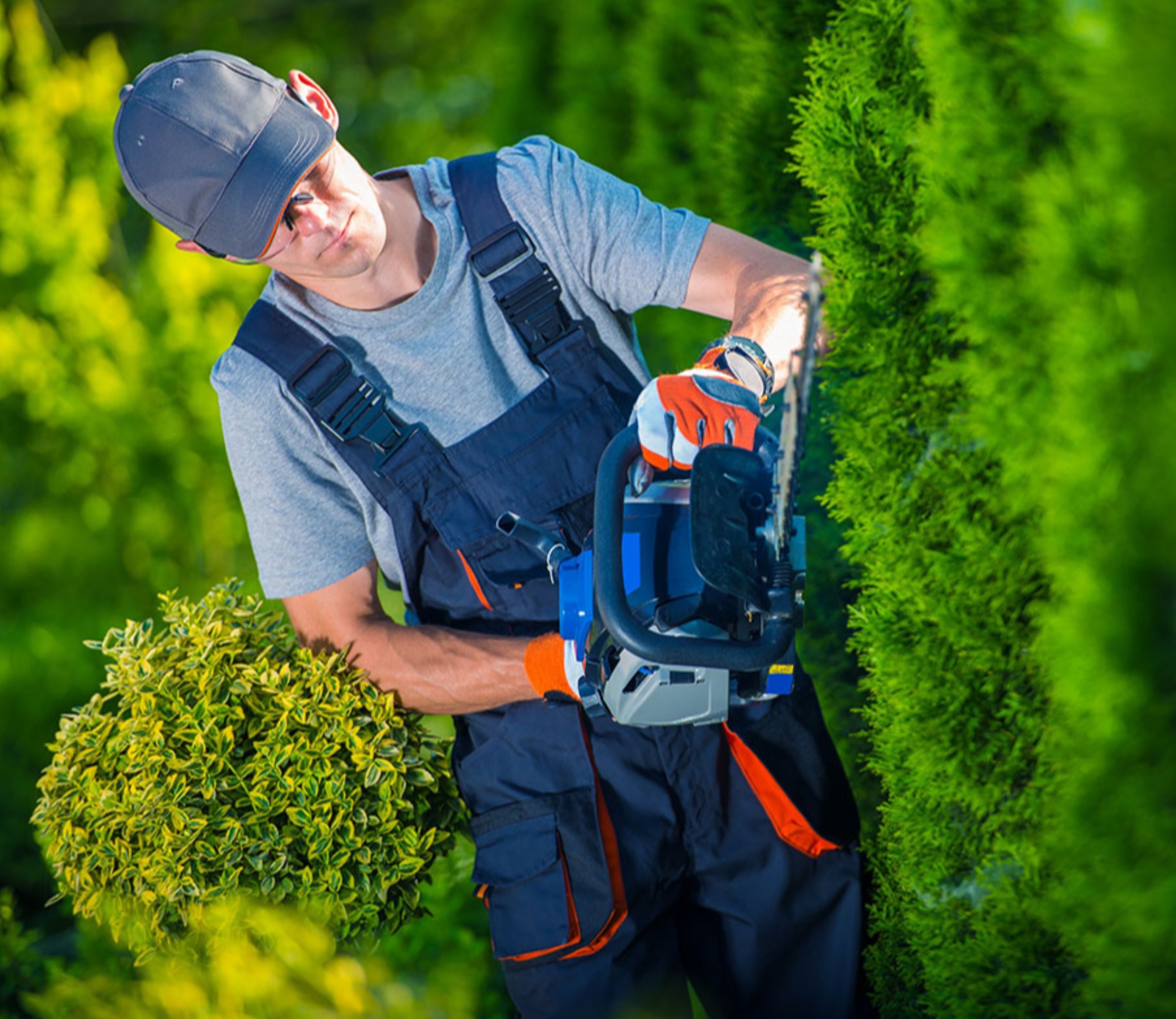 Solicito personal para trabajar en jardinería