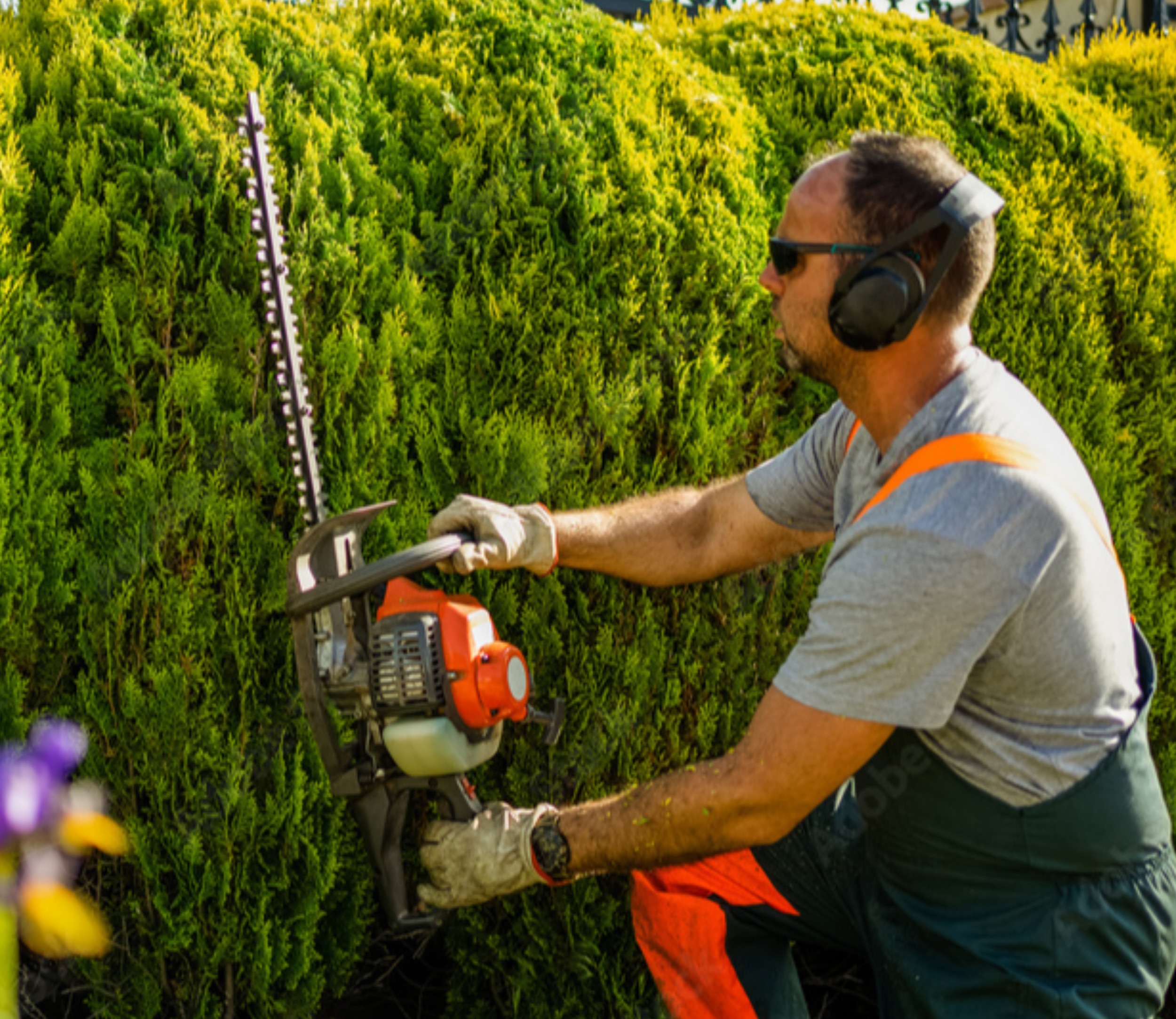 Landscaping Technician